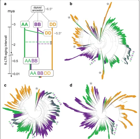 Fig. 5 LTR retrotransposon footprints in the evolution of hexaploid wheat.(5387 copies),majority of the amplifications took place in the diploid ancestors evidenced by theseveral younger regions with interweaving A and B insertions (marked by ABAB)