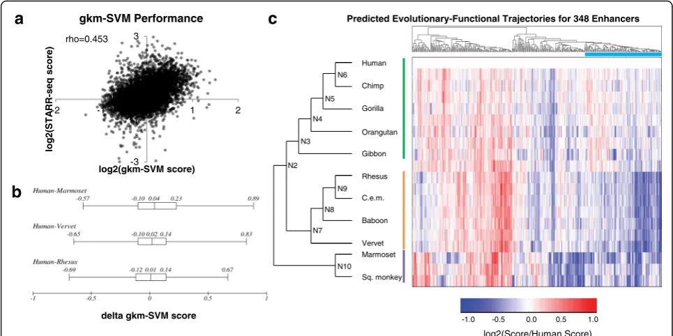 Fig. 2 Performance of Computational Predictions. a We trained the gapped-kmer support vector machine classifier (gkm-SVM) on anindependent reporter assay experiment conducted in HepG2 cells