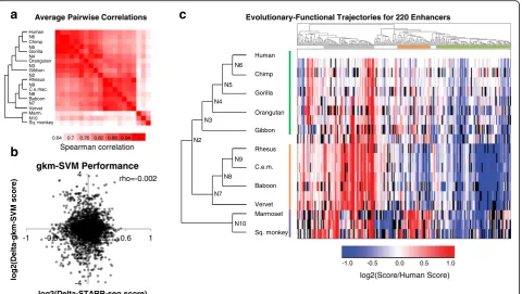 Fig. 3 Functional Scores for Orthologs and Ancestral Sequences.Black bars represent missing data