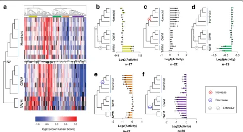 Fig. 4 Common Patterns of Enhancer Modulation over the Primate Phylogeny.of hominoids and Old World monkeys (N2)