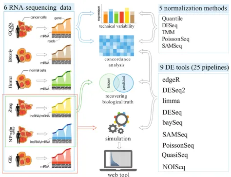 Fig. 1 DE tools assessment work flow. The study has four components: evaluation of five normalization methods, concordance analysis of DEtools, evaluating the capability of DE tools to recover genes with known biological evidence of differential expression