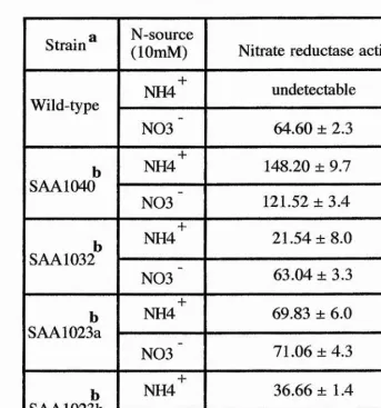 Table 3.3 Nitrate Reductase Activities In The 
