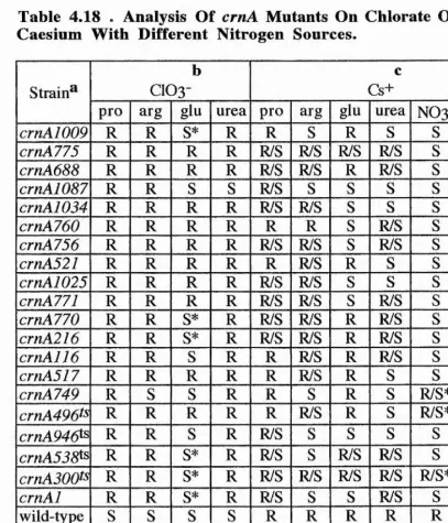 Table 4.18 . Analysis Of crnA Mutants On Chlorate Or Caesium With Different Nitrogen Sources.