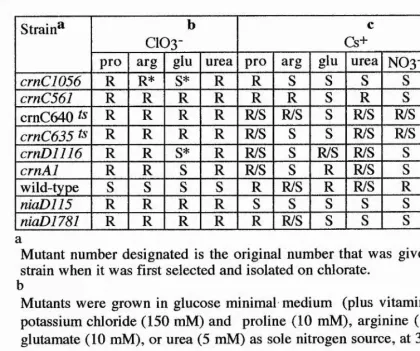 Table 4,20. Analysis Of crnC And crnD Mutants On ChlorateOr Cesium With Different Nitrogen Sources.