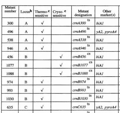 Table 22. Summary Of Temperature Conditional crn Mutants.