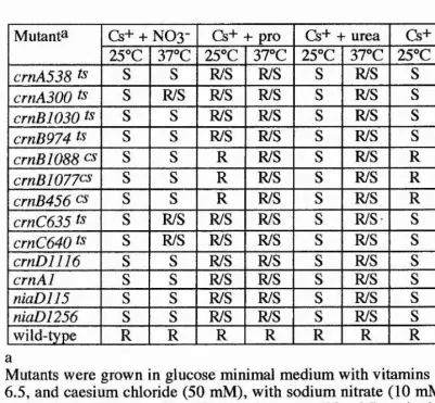 Table 4.24. Analysis Sensitive Of Representative Thermo- and Cryso- Mutants In crn Loci On Caesium, With DifferentNitrogen Sources.