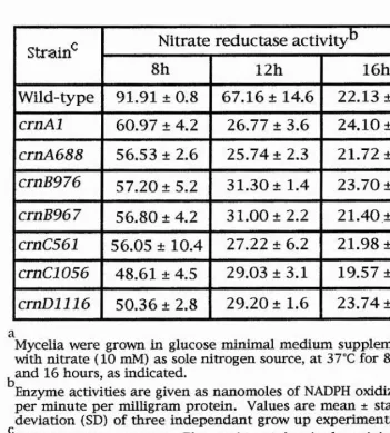 Table 4.27. Nitrate Reductase Activities In The Wild-Type And Variouse Non-Conditional crn Mutants?
