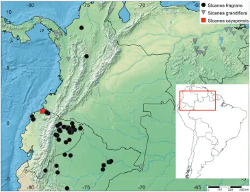 Figure 1. Map of the geographic distribution of Sloanea cayapensis J. Jaramillo ex J.E