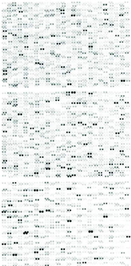 Figure 1A typical transcriptome analysis of 
