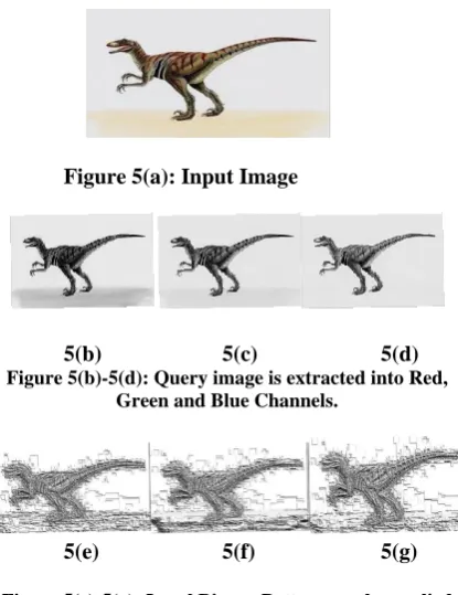Figure 5(a): Input Image 