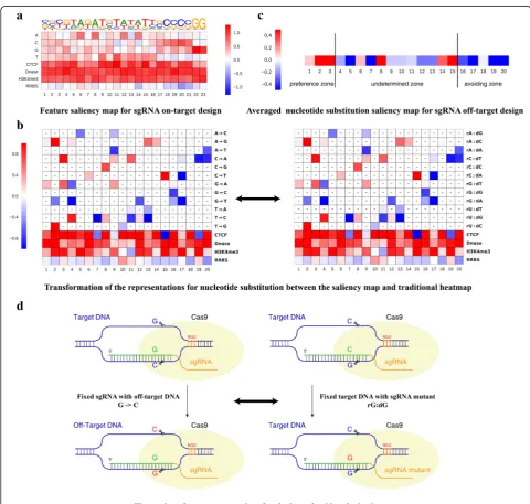 Fig. 5 Automatic learning sequence and epigenetic features affecting sgRNA on-target and off-target design