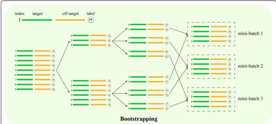 Fig. 6 Bootstrapping sampling for sgRNA off-target site prediction. The bootstrapping sampling is performed from the minor samples to obtainthe same amount of samples as major samples in each mini-batch