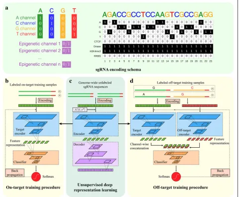 Fig. 1 Implementation details ofSoftmax DeepCRISPR. a sgRNA encoding schema. For a DNA region, the nucleotide sequence is represented by four channels, i.e.,the A-channel, C-channel, G-channel, and T-channel, and each epigenetic feature is considered as on