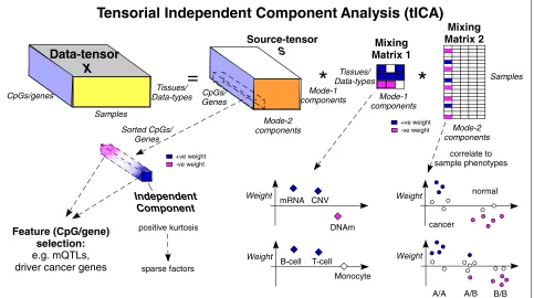 Fig. 1matrices informs about the pattern of variation of this component across tissue/data types and samples, respectively
