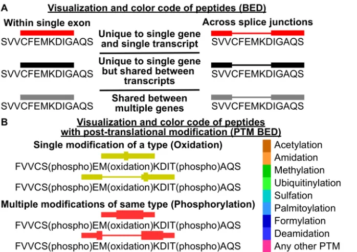 Figure 8. Schematic of mapping visualization and color coding. 