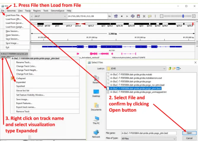 Figure 4. Screenshot of the Integrative Genomics Viewer (IGV) data upload procedure. 