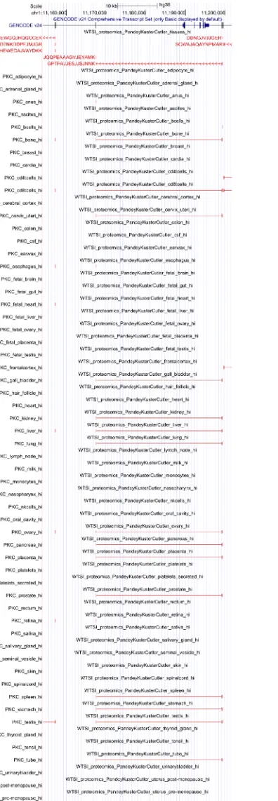 Figure 7. UCSC Genome browser example view of mapped peptides. The figure shows peptides mapped to the gene mTOR