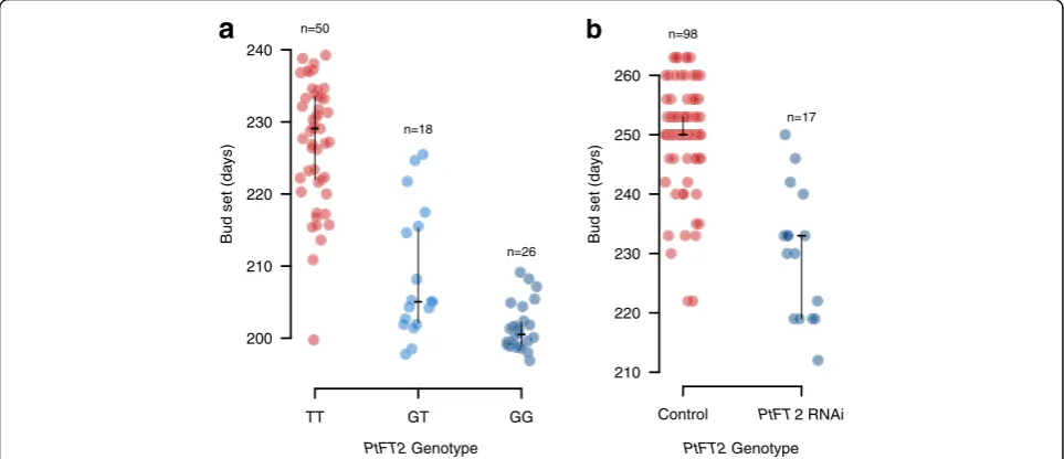 Fig. 6 Phenotypic effects ofPtFT2The number of genotypes in the respective classes is indicated above the figure.for common garden site, year, and block effects