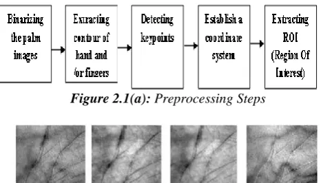 Figure 2.1(a): Preprocessing Steps  