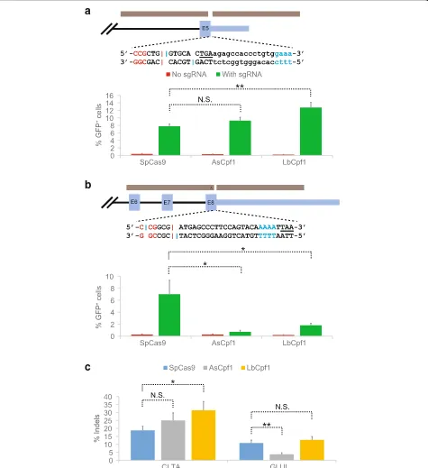 Fig. 7 Evaluation of various CRISPR-Cas systems in HDR-mediated genome editing using linearized plasmid donor templates.the a, b Fusing eGFP tothe C-terminus of a CLTA and b GLUL via a P2A self-cleaving peptide