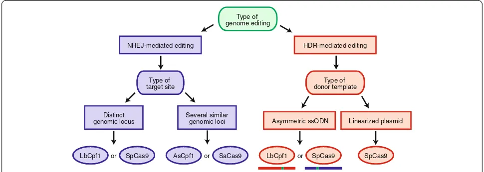 Fig. 8 Flowchart to guide CRISPR-Cas users in selecting the appropriate system for their experiments