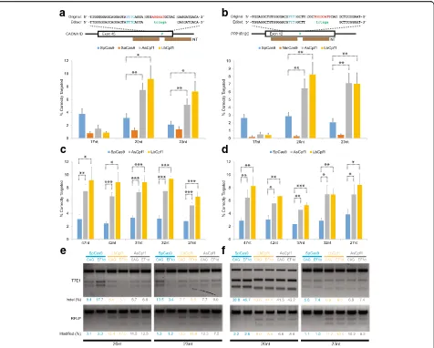 Fig. 3 Evaluation of various CRISPR-Cas systems in HDR-mediated genome editing using symmetric ssODN donor templates and spacers withTheSpCas9 were comparable to those of AsCpf1 and LbCpf1, as determined by the T7E1 assays