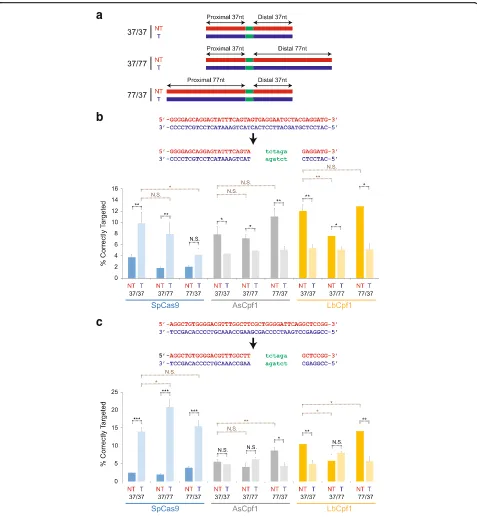 Fig. 5 Evaluation of multiple symmetric and asymmetric ssODN donor designs used in combination with different CRISPR-Cas systems