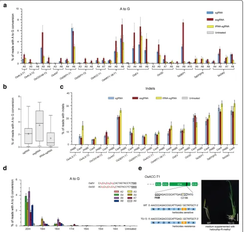 Fig. 2 Analysis of PABE-7 activity on endogenous genes using different sgRNA expression constructs.conversions in the 13 target sites of rice and wheat genes