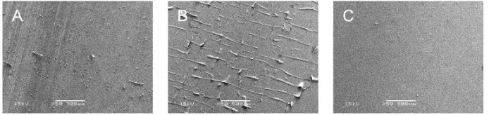 Figure 5. SEM images of polymer-coated silicone catheters after fatigue tests. Polymers were dip coated onto silicone catheters