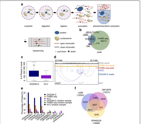 Fig. 1 Open chromatin enrichment and network Hi-C (OCEAN-C) identifies hubs of open chromatin interactions (HOCIs) without the need forZINBA algorithm.interactions involving HOCIs