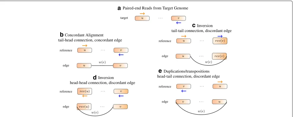 Fig. 7 Constructing edges from alignment. a Read positions and orientations generated from the target genome