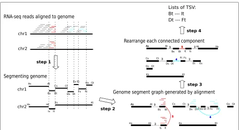 Fig. 1 Overview of the SQUID algorithm. Based on the alignments of RNA-seq reads to the reference genome, SQUID partitions the genome intosegments (step 1), connects the endpoints of the segments to indicate the actual adjacency in transcript (step 2), and