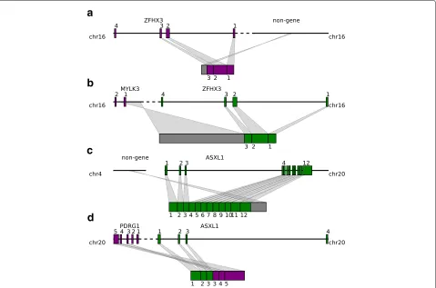 Fig. 5 Tumor suppressor genes are affected by both fusion-gene and non-fusion-gene TSVs and generate transcripts with various features.intergenic region in the middle of exon 12