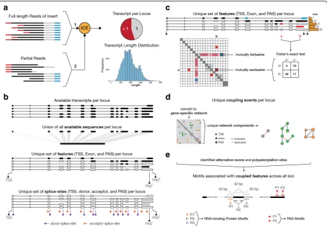 Fig. 1 Schematicnetwork components can thereby be filtered based on the type of interaction: mutual inclusive or mutual exclusive coupling events.alternative exons that show significant coupling, a motif search is performed to assess the enrichment of spec