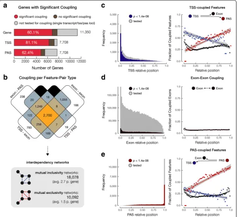 Fig. 2 Alternative transcription, splicing, and polyadenylation are highly interdependent.with various types of coupling representing interdependencies between different alternative processes