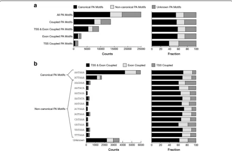 Table 1 Enrichment of MBNL binding site motifs in sequences upstream of alternative PAS with unknown poly(A) signal that arecoupled with alternative TSS or alternative exons