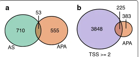 Fig. 5 APA during neuronal differentiation is generally independentUTR lengthening and shortening genes (than one distinct transcription start site (statistically significant (of alternative splicing and multiple transcription start sites
