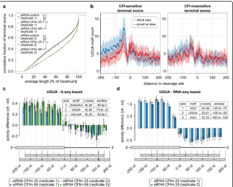 Fig. 4 Position-dependent activation of pre-mRNA processing by CFIm. a The distributions of average terminal exon lengths (see “Methods”)computed from 5123 multi-PAS terminal exons quantified in CFIm 25, CFIm 68 knock-down, and control samples indicate sig