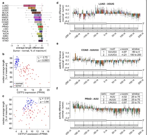 Fig. 6 Analysis of TCGA data sets.adenocarcinoma (For the same samples as inaverage exon length was observed.pairs (most significantly associated by KAPAC with changes in PAS use in colon adenocarcinoma (distributions of patient-wise medians of tumorof the