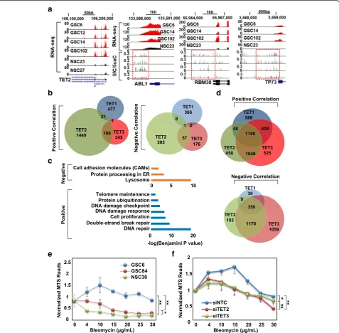 Fig. 9 Co-expression of the TETs with DNA damage response genes and the functional impact of TET knockdown on cell viability under DNA damagedifferent concentrations after 72 h