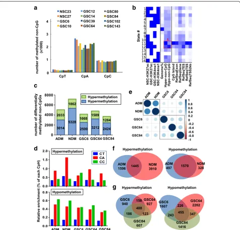 Fig. 10 Distinct non-CpG methylation patterns in GSC and NSC.sizeof hyper- (diagramsfeature.BottomBar graphdifferentiation condition are labeled on themethylation events, noted by the numbers in each bar, in NSCs and GSCs in response to differentiation cue