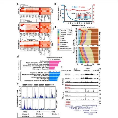 Fig. 3 Links between differentially modified enhancers and gene regulation events. a ChromHMM modeling of H3K27ac (top), H3K4me1 (middle),and co-marked regions (bottom) in GSCs and NSCs, and their co-localization with genomic features as labeled at the low