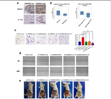 Fig. 5 SORBS2 knockdown-induced enhanced ovarian cancer metastasis can be reversed by enforced expression of WFDC1 and IL-17D alone orSORBS2-depleted A2780s ovarian cancer cells compared with control SORBS2-depleted A2780s cells and shCTRL-treated A2780s c