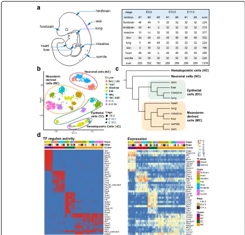 Fig. 1 Global patterns of single-cell expression profiles and the identification of cell types.expressed genes (information (origin and embryonic stage of the cells