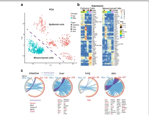 Fig. 2 Interaction between epithelial and mesenchymal cells sampled from intestine, liver, lung, and skin.respectively.different genes falling into the same term are linked byDEGs of epithelial ( a Principal component analysis (PCA) ofepithelial and mesenc