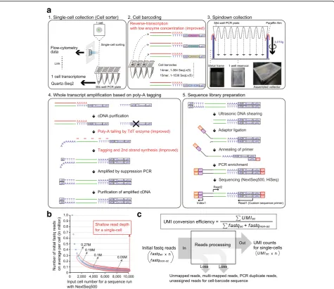 Fig. 1sequence the cell barcode site and the UMI site at Read1, the pool barcode site at Index1, and the transcript sequence at Read2.between initial fastq reads and the number of single cells for sequence analysis in NextSeq500 runs