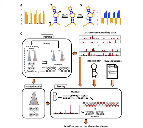 Fig. 1 Overview of structure profiling data anddata and the trained model to infer the posterior probabilities of each pairing state, which are then used to score the state sequence that representsthe motif