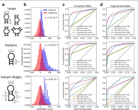 Fig. 3 PATTEperformance expected from a random classifier. AUC area under the curve, MFE minimum free energy, NNTM nearest-neighbor thermodynamicscore histograms at regions where the tested motif was present (positive) or absent (negative) in reference str