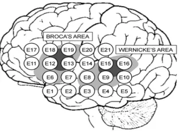 Fig. 1.2: Position of the 21 electrodes on the brains left hemisphere.