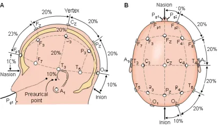 Fig. 3.2: 10-20 standard system [34].